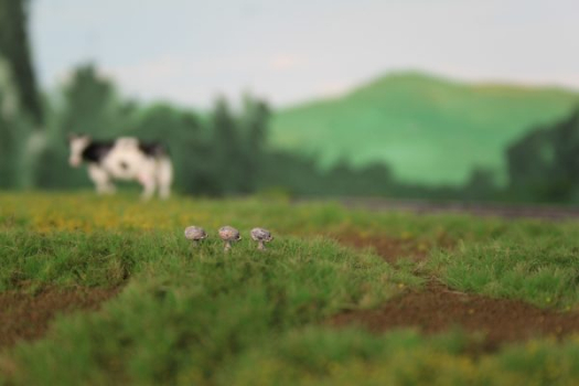 Figuren in H0 - Igel